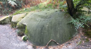 S'évader dans la forêt d'Halatte et aventure charmante - LAURENT - 5