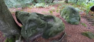 S'évader dans la forêt d'Halatte et aventure charmante - LAURENT - 3