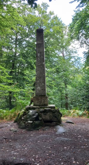 S'évader dans la forêt d'Halatte et aventure charmante - LAURENT - 6