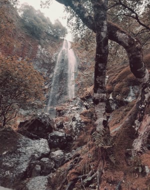 Grande cascade du Mont-Dore et charme irrésistible - Mont-Dore - 9