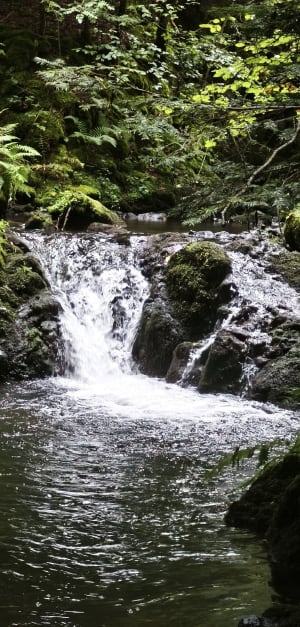 Balade entre Besse et la Cascades de Chiloza - ELODIE - 5