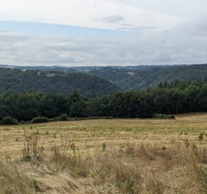 Tour au belvédère de Sermus au départ du Vieux Bourg - Aline - 3