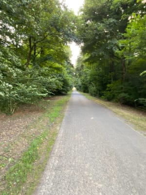 Le sentier du Pignolet, par Bois de Nédonchel - François - 3