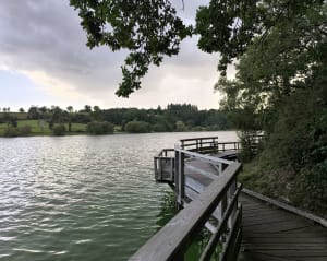 Étang de Jugon-les-Lacs, par le Marchix - Melanie - 3
