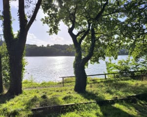 Étang de Jugon-les-Lacs, par le Marchix - Melanie - 4