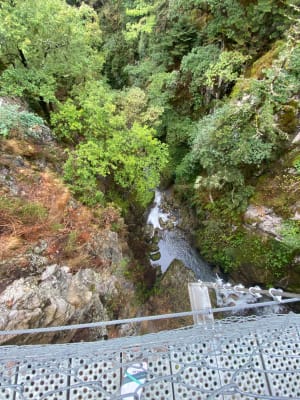 La passerelle de Pequerin - Laurence - 4