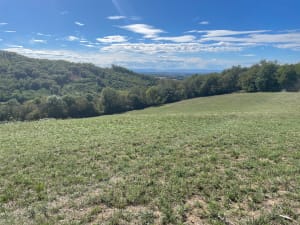 Randonnée vers le Château de Chozeau par les Fouillouses - Alain - 7