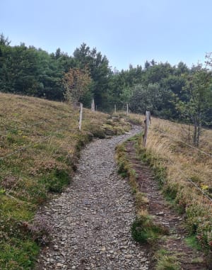 Balade au Grand Ballon - YOANN - 13