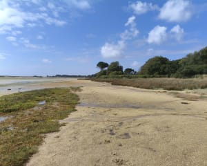 Boucle autour de Mer Blanche en passant par la chapelle Saint-Sébastien - GUY - 8