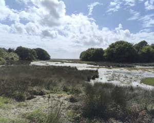 Boucle autour de Mer Blanche en passant par la chapelle Saint-Sébastien - GUY - 9