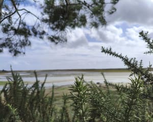 Boucle autour de Mer Blanche en passant par la chapelle Saint-Sébastien - GUY - 10