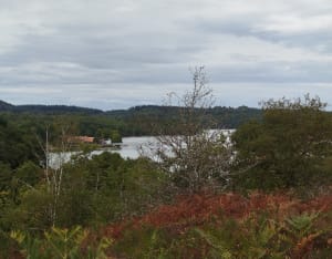 Entre lac et forêt - Mickaël - 6