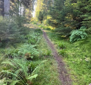 Boucle sur les hauts de Kichompre - Marina - 5