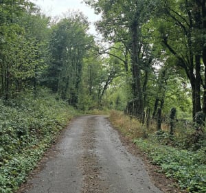 La boucle des éoliennes d’Esnoms - Le Val-d'Esnoms - 2