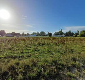 Petit tour autour de Grézac - Grézac - 2
