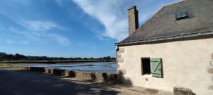 Les marais du Hézo - Le Hézo - 7