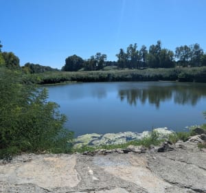 Balade entre Rhône et Lez à partir de Lapalud - Jean-Michel - 3