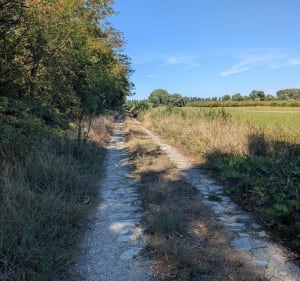 Balade entre Rhône et Lez à partir de Lapalud - Jean-Michel - 5