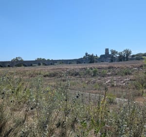 Balade entre Rhône et Lez à partir de Lapalud - Jean-Michel - 4