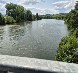 Autour du Lys par Gouvieux et Château de Lamorlaye - Morgan - 4