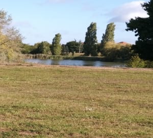 Petite balade en fin de d’après midi - Frédéric - 3