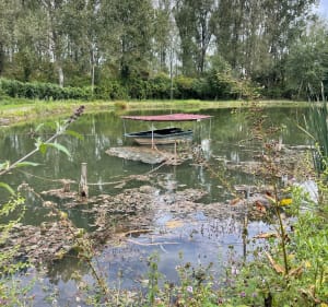 Autour du Vivier de Sin-le-Noble - Astelio - 4