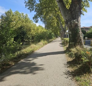 Boucle du jardin Niel au canal du midi - Adrian - 5