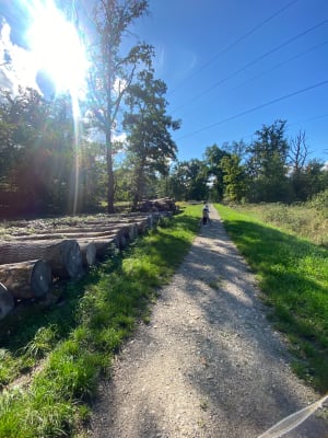 Forêt du Nonnenbrug et Grossbaden - 2
