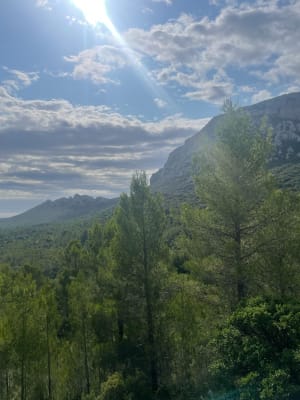 Entre Montpellier et Valflaunes - Montpellier - 3
