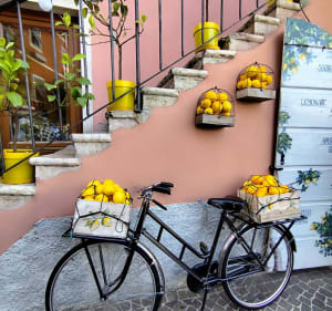 Chemin piétonnier depuis Limone sul Garda - Limone Sul Garda - 3