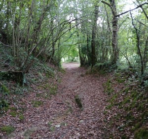 Petite balade autour de Geaune - Geaune - 2