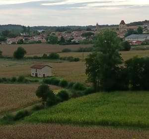 Petite balade autour de Geaune - Geaune - 3