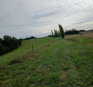 Petite balade autour de Geaune - Geaune - 4