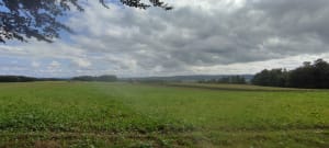 Uriménil à l'Etang de Bult et par les Friches - Uriménil - 5