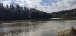 Uriménil à l'Etang de Bult et par les Friches - Uriménil - 4