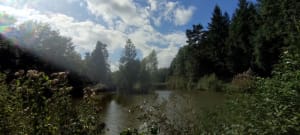 Uriménil à l'Etang de Bult et par les Friches - Uriménil - 2