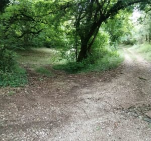 Boucle sur chemin forestier près de Miralasse - Lamagdelaine - 2