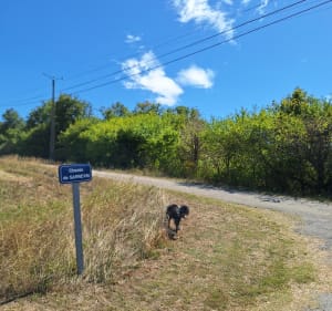 Balade en aller retour sur les hauteurs de Loriol par les Roches - Camille - 2