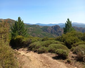 Beklimming van de Monte San Petru en Corsicaanse panorama's - Xavier - 8