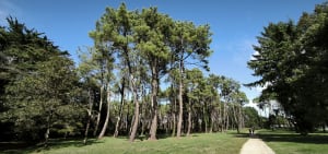 Le circuit des Mégalithes. - Michel - 15