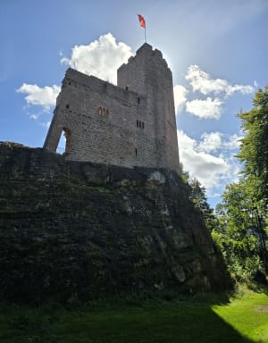 Château du Wagenbourg et château du Freudeneck - Marcel - 4