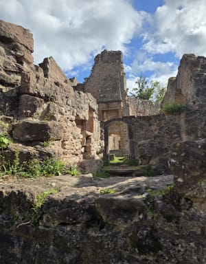 Château du Wagenbourg et château du Freudeneck - Marcel - 7