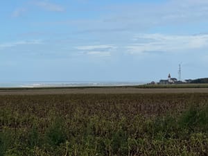 Balade entre Ault et le bois de Cise - Thomas - 7