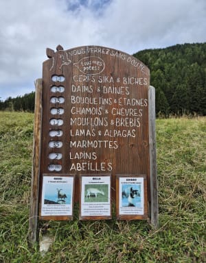 Promenade dans le parc de Merlet - Les Houches - 8