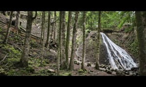 Randonnée aux cascades du Queureuilh, du Rossignolet et du Saut du Loup - ELODIE - 12
