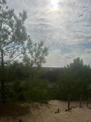 Circuit dune, forêt, marais  N°26 à Saint Hilaire de Riez - MYRIAM - 8
