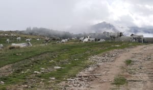 Plateau de Beille- la Passejade - Colette - 5