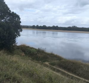 De Montjean a Ingrandes, bord de Loire et campagne - Clotilde  - 2