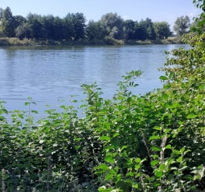 Entre campagne et quai de la Deûle - Aurélie - 5