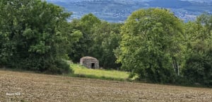 Poleymieux-au-Mont-d'Or et bulle d'air aux monts d'Or - FERNAND - 7